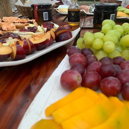 Hacienda San Francisco Tzacalha 호텔 Dzidzantún 외부 사진